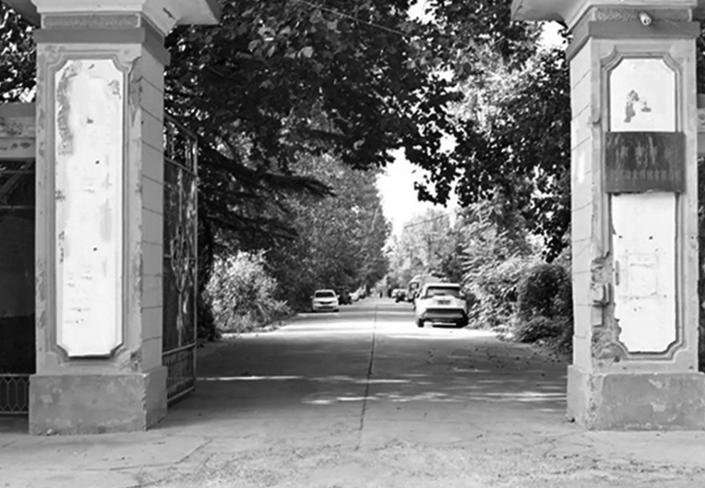 改革探索振动筛分之道